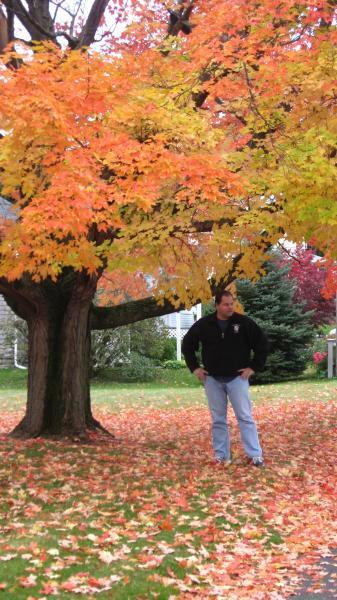 Date this georgeous United States man Rick from Seattle US417