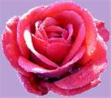 Date this hot Haiti girl Lucie from P-au-p HT2