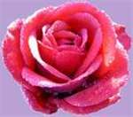 funny Haiti girl  from P-au-p HT2