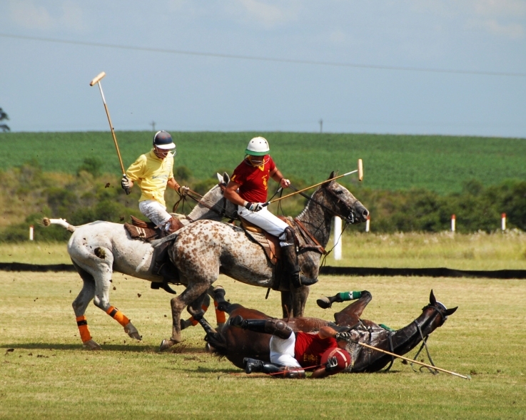 Date this funny United States man Hello8811 from Miami Beach US3428