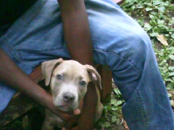 Date this charming United States man Big from detroit US4746