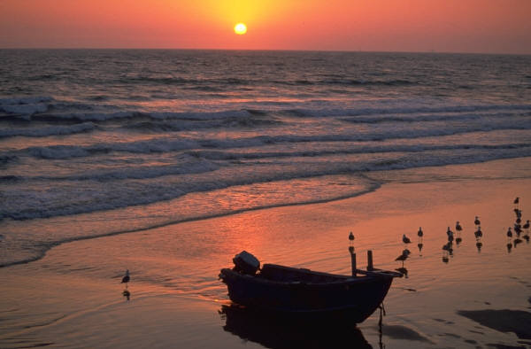 Date this young Dominican Republic man Babyboom from Santo Domingo DO2723