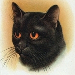 charming United States man  from Los Angeles US6727