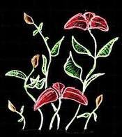 Date this georgeous United States girl Grace from New York City US6994