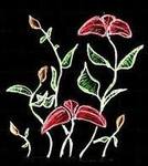 hard body United States girl Grace from New York City US6994