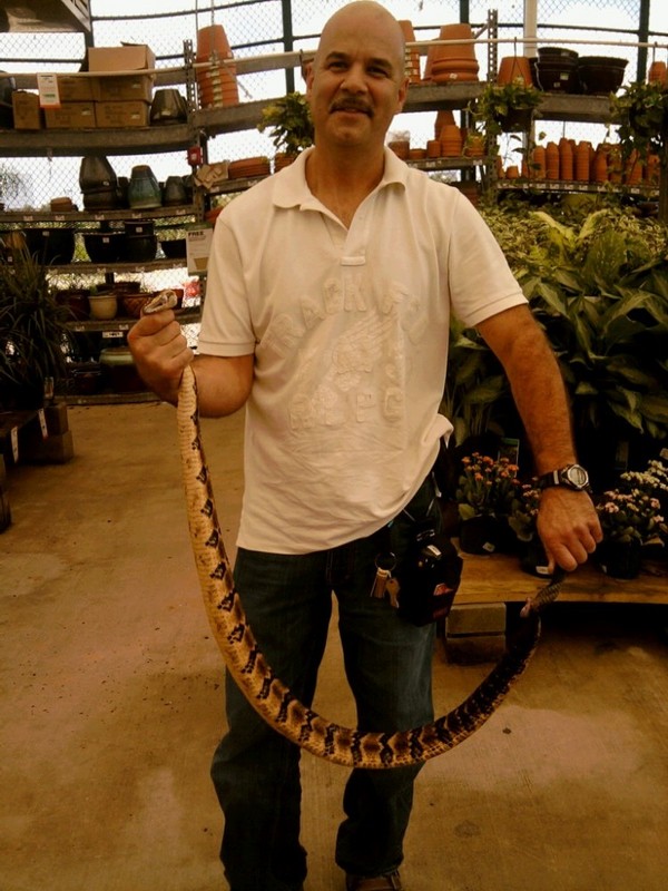 Date this good-looking United States man The from Slidell US7047