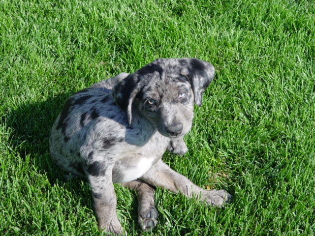 Date this voluptuous United States man Renoprocess from Reno US7107