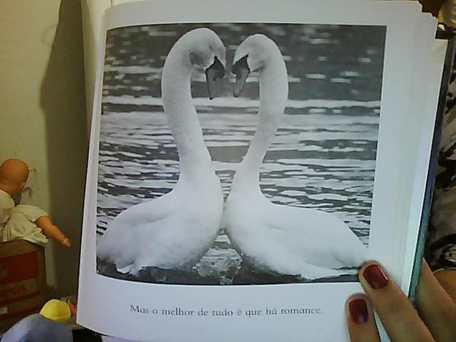 Date this cute Brazil girl Carlanara from Caldas Novas BR3641