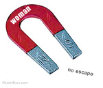 athletic Colombia girl Woman from  CO5429