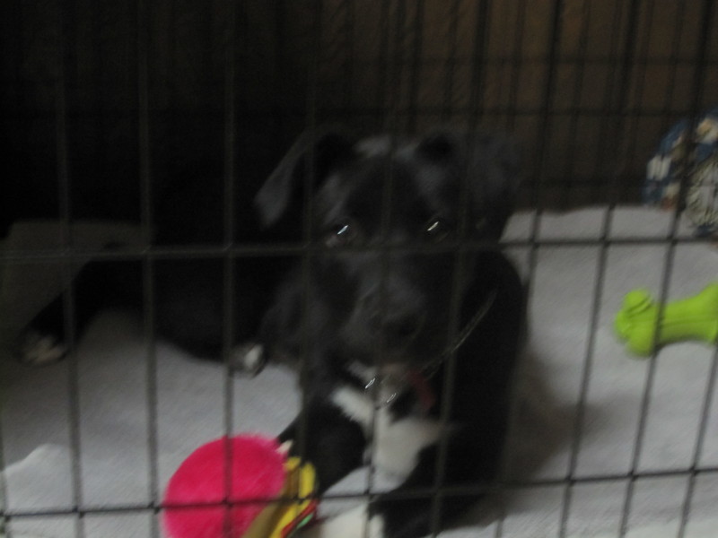 Date this foxy United States girl Flabra from San Diego US9259