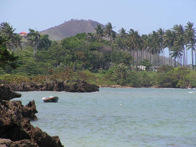 Date this lovely United States man Bpapi from Atlanta US11231