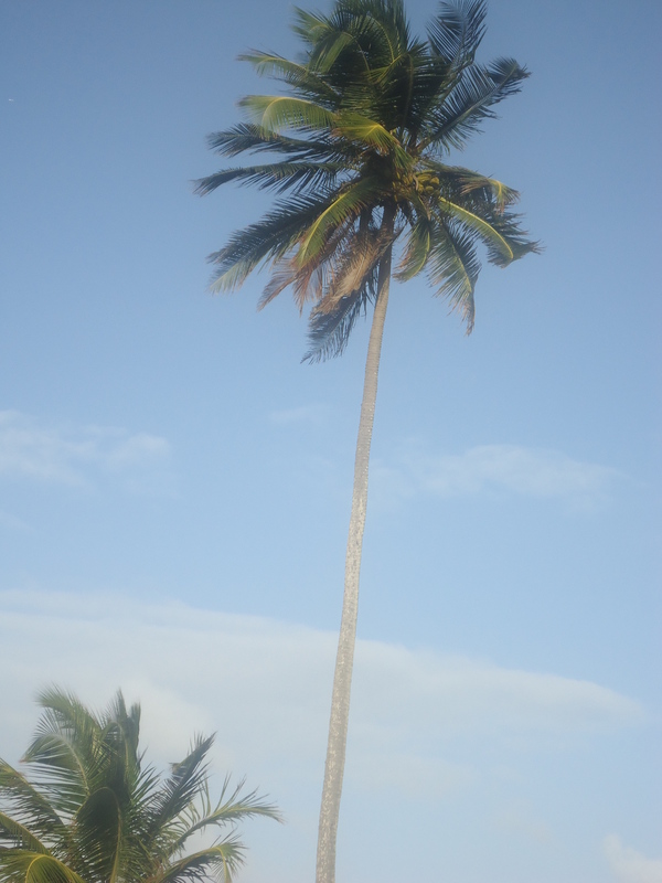 Date this good-looking United States man Leocastro from Boston US11556