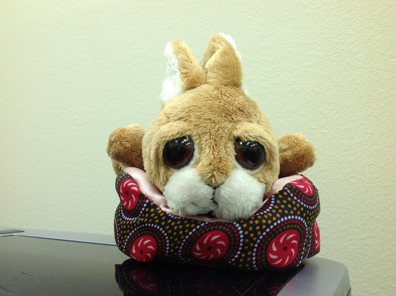 Date this stunning United States man BUSCAR from VIRGINIA BEACH US11888