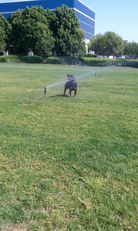 Date this hot United States man Most from Los Angeles US12798