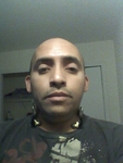 hard body United States man Piro from Bronx US13769