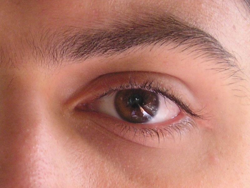 Date this athletic United States man Eduardo81 from New York US15000