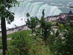 funny Dominican Republic man  from Niagara Falls CA627