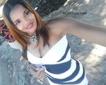 stunning Dominican Republic girl Tania from Santiago DO30516