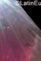 Date this beautiful Colombia girl Kari from Santa Marta CO23636