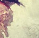 athletic Venezuela girl Anabela from Caracas VE1983